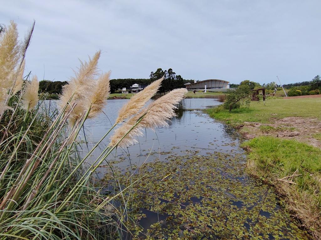 A MACA egy hatalmas, tavas parkban terül el